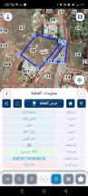 أرض - الثنيه الحي الغربي  - 27000 دأ