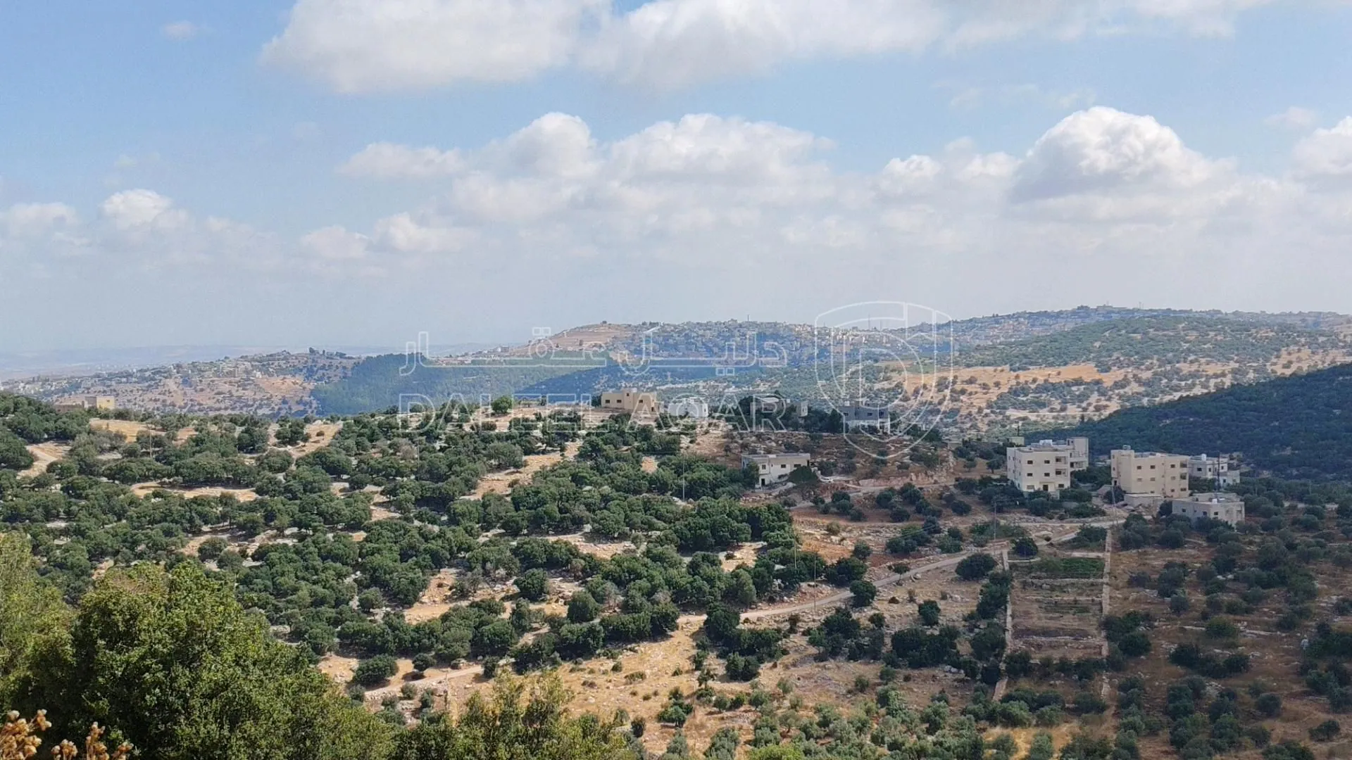 أرض في طريق زوبيا تبنه - 50,000 دأ - صورة 1