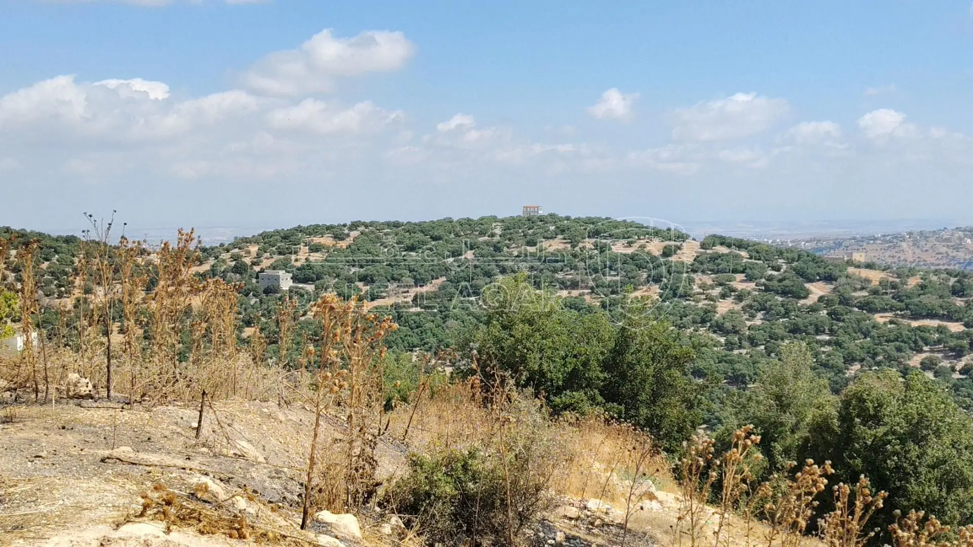 أرض في طريق زوبيا تبنه - 50,000 دأ - صورة 1