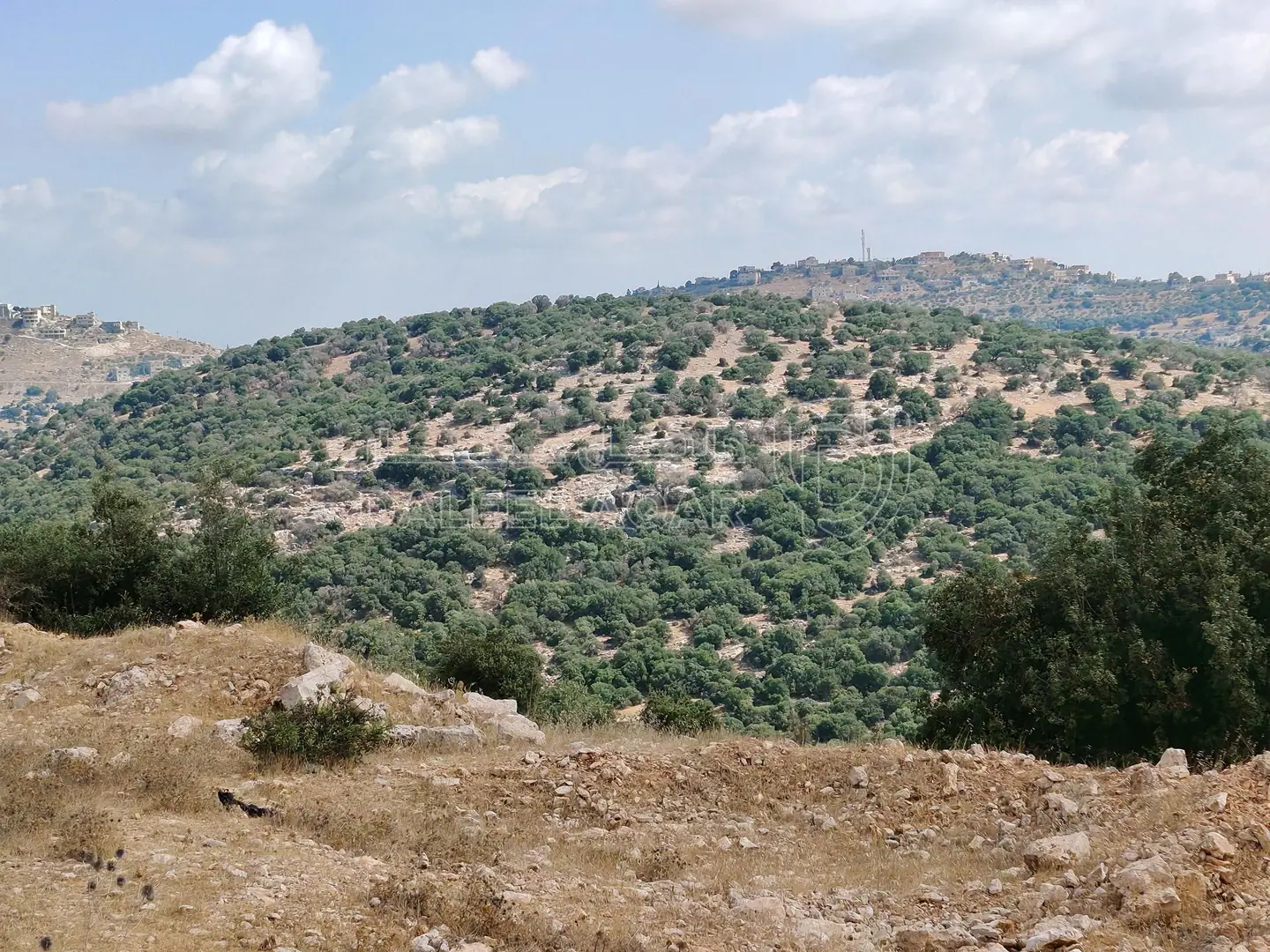 أرض في طريق زوبيا تبنه - 50,000 دأ - صورة 1