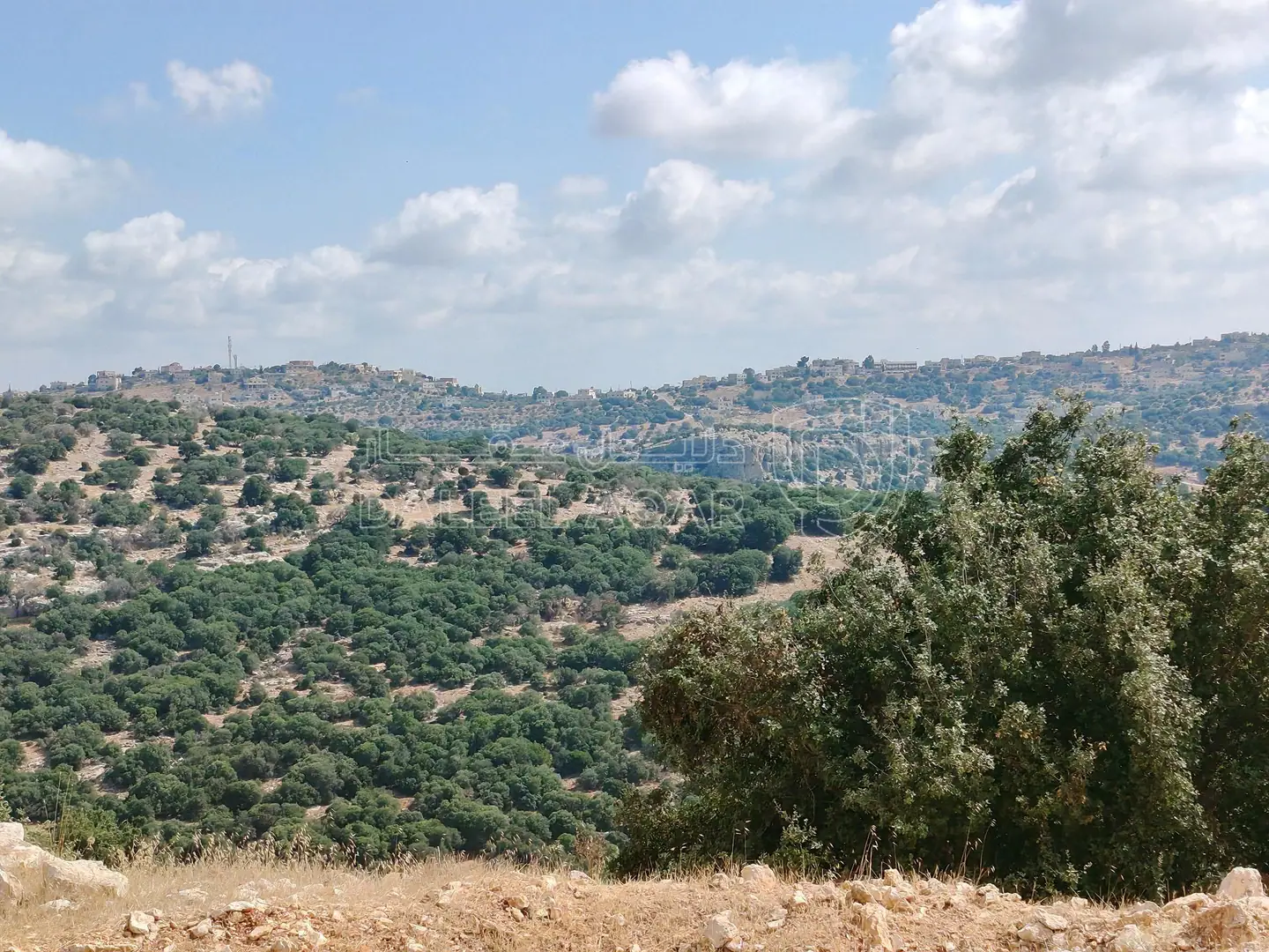 أرض في طريق زوبيا تبنه - 50,000 دأ - صورة 1