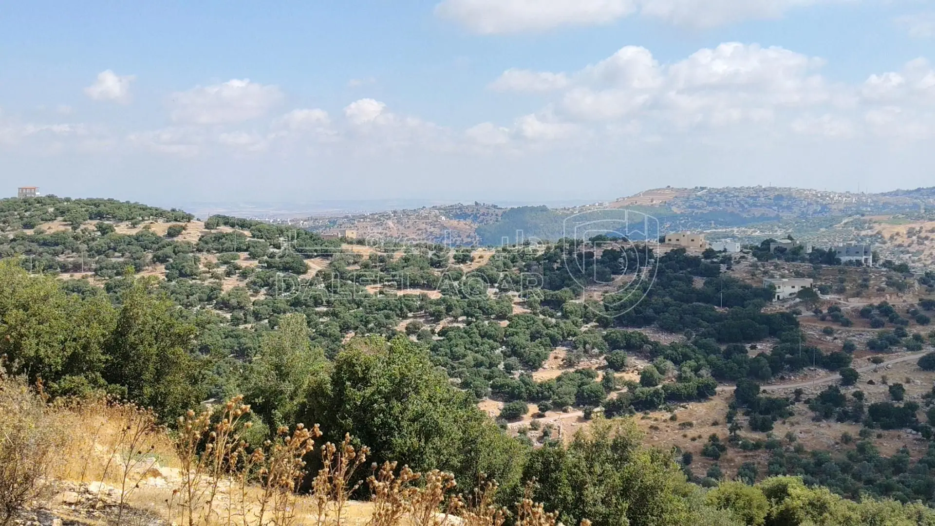 أرض في طريق زوبيا تبنه - 50,000 دأ - صورة 1