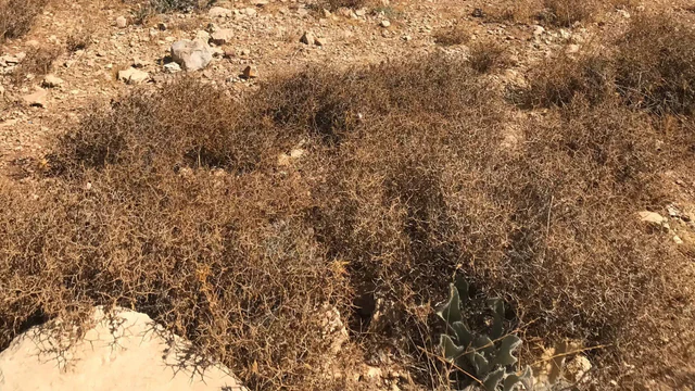 أرض في اليادودة - 96,000 دأ - صورة NaN
