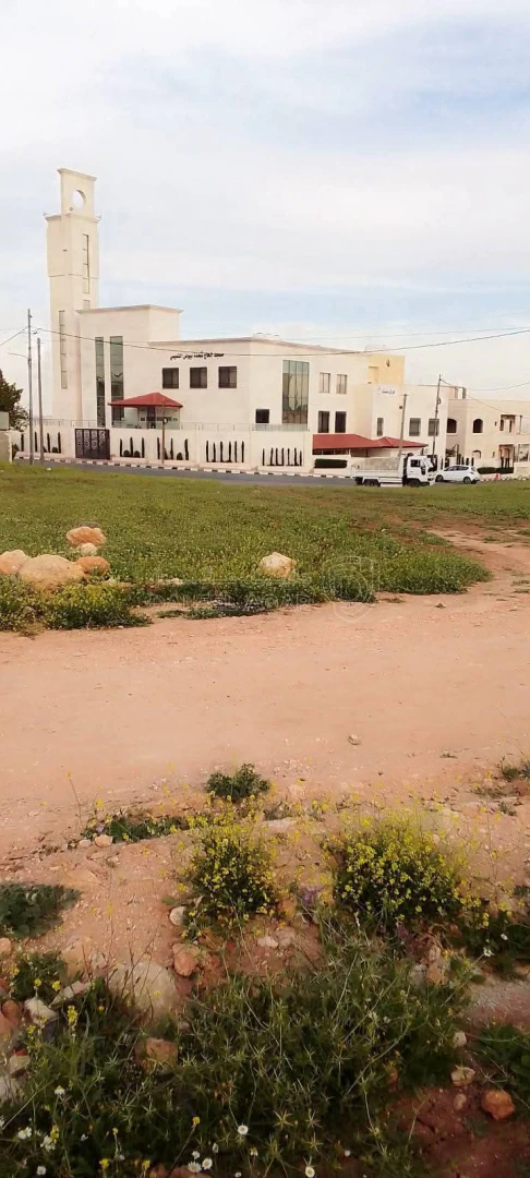 أرض في ارض للبيع مساحة قطع) على 501على شارع 12 الجويدة - 72,222 دأ - صورة 1