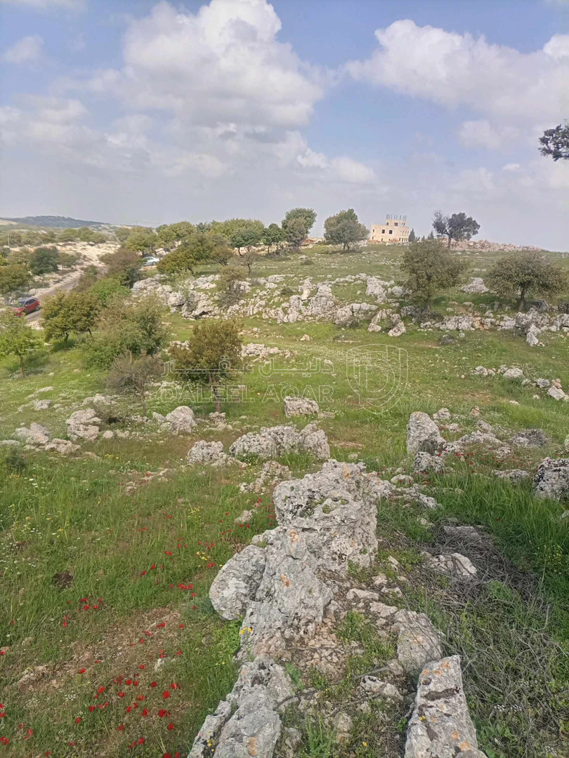 أرض في بالقرب من شارع اربد_عجلون الرئيسي - 42,000 دأ - صورة 1