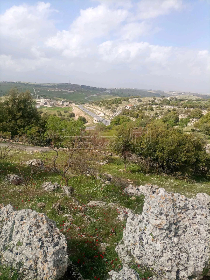 أرض في بالقرب من شارع اربد_عجلون الرئيسي - 42,000 دأ - صورة 1