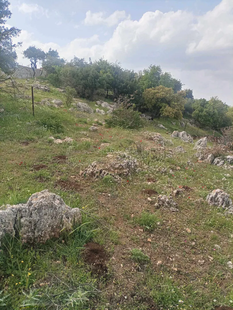 أرض في بالقرب من شارع اربد_عجلون الرئيسي - 42,000 دأ - صورة 1