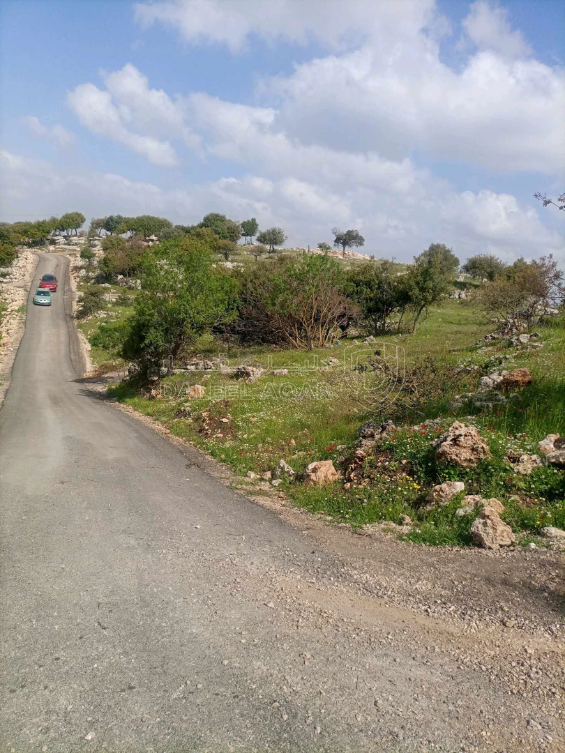 أرض في بالقرب من شارع اربد_عجلون الرئيسي - 42,000 دأ - صورة 1
