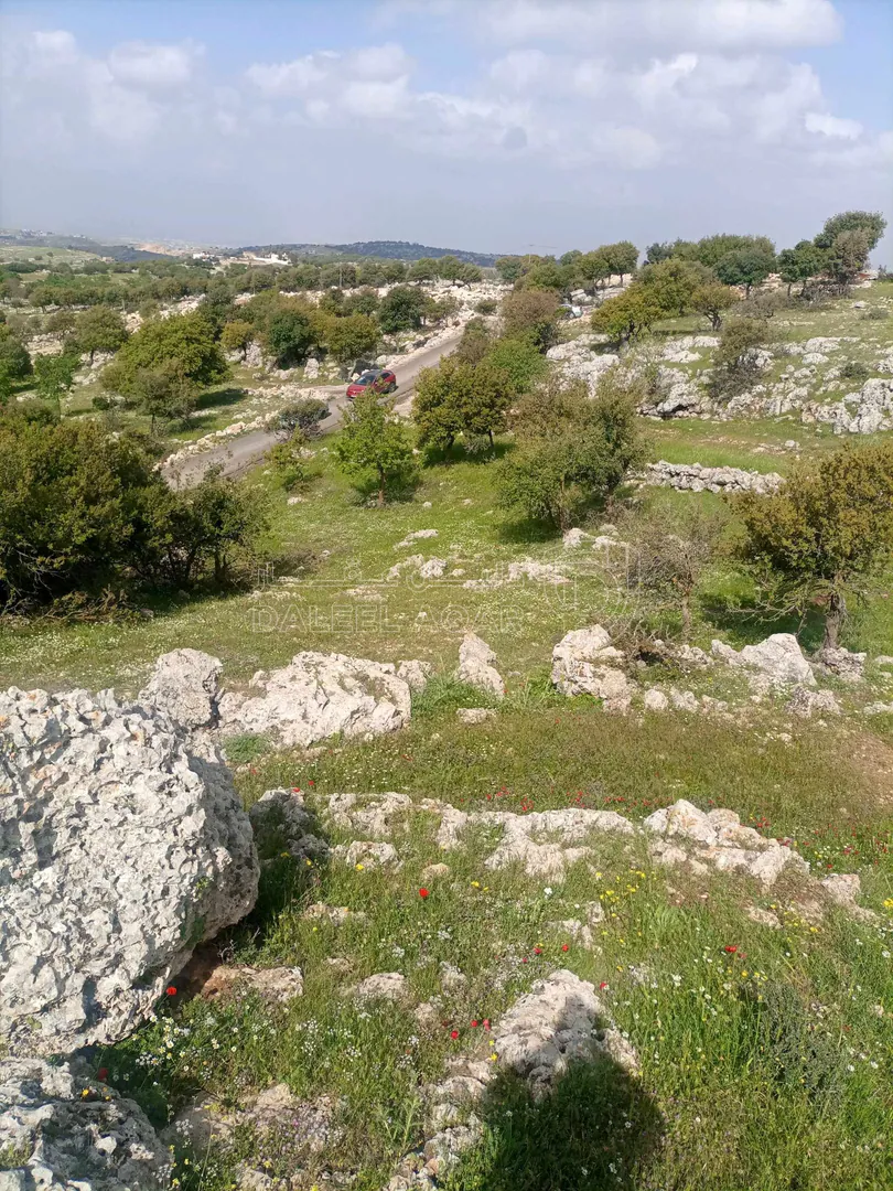 أرض في بالقرب من شارع اربد_عجلون الرئيسي - 42,000 دأ - صورة 1