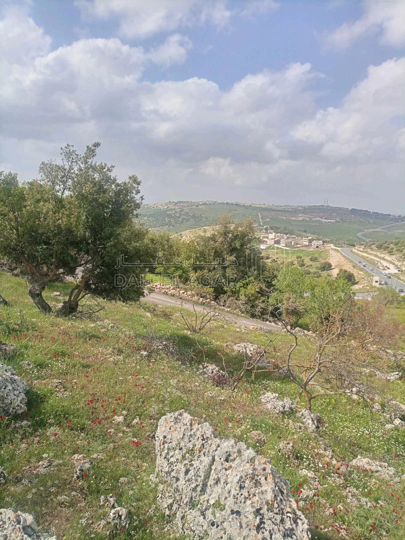 أرض في بالقرب من شارع اربد_عجلون الرئيسي - 42,000 دأ - صورة 1