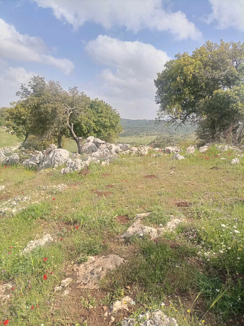 أرض في بالقرب من شارع اربد_عجلون الرئيسي - 42,000 دأ - صورة 1