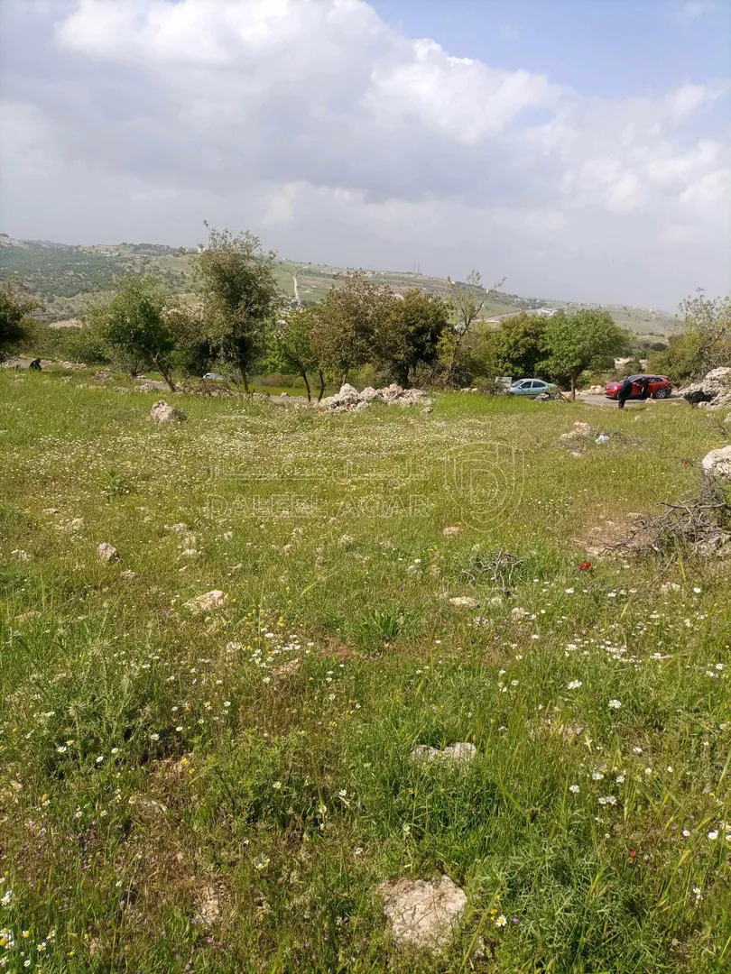 أرض في بالقرب من شارع اربد_عجلون الرئيسي - 42,000 دأ - صورة 1