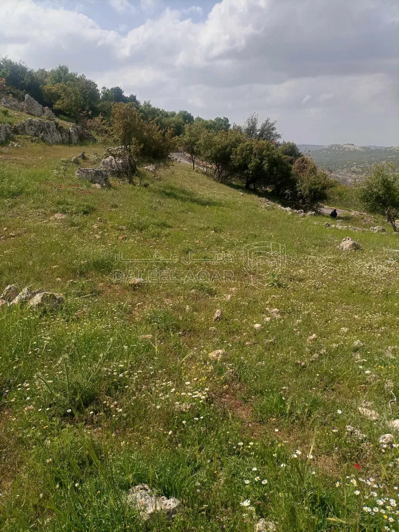 أرض في بالقرب من شارع اربد_عجلون الرئيسي - 42,000 دأ - صورة 1