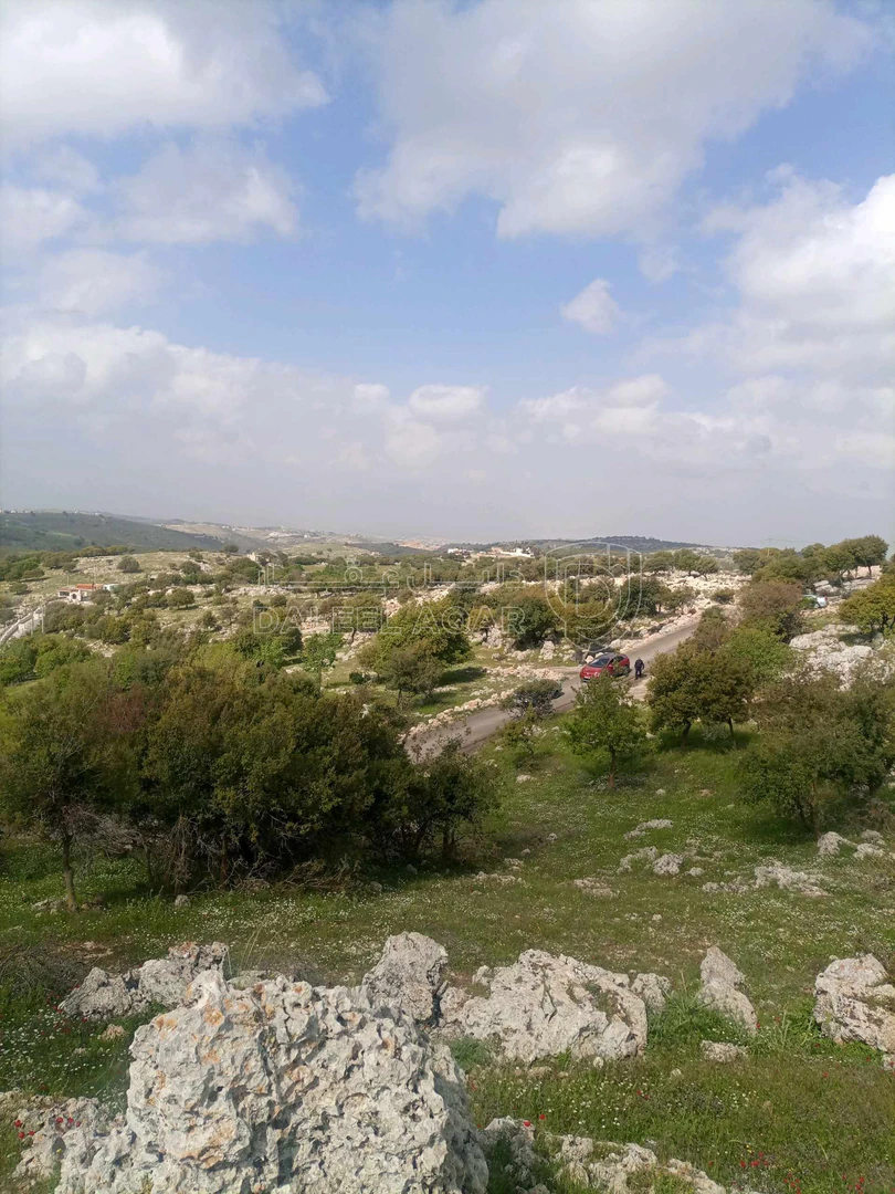 أرض في بالقرب من شارع اربد_عجلون الرئيسي - 42,000 دأ - صورة 1