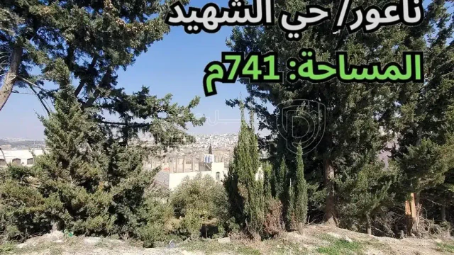 أرض في ناعور/ حي الشهيد - قرب معهد حفظ السلام - 75,000 دأ - صورة 1