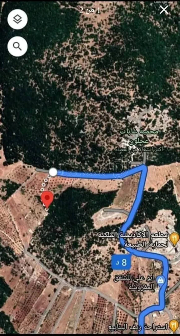 أرض في ارض استثمارية بالقرب من المحمية والتيليفريك - 136,000 دأ - صورة 1