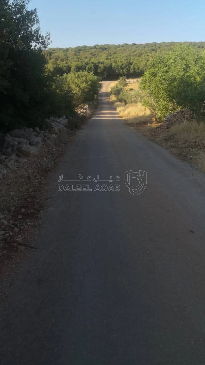 أرض في ارض استثمارية بالقرب من المحمية والتيليفريك - 136,000 دأ - صورة 1