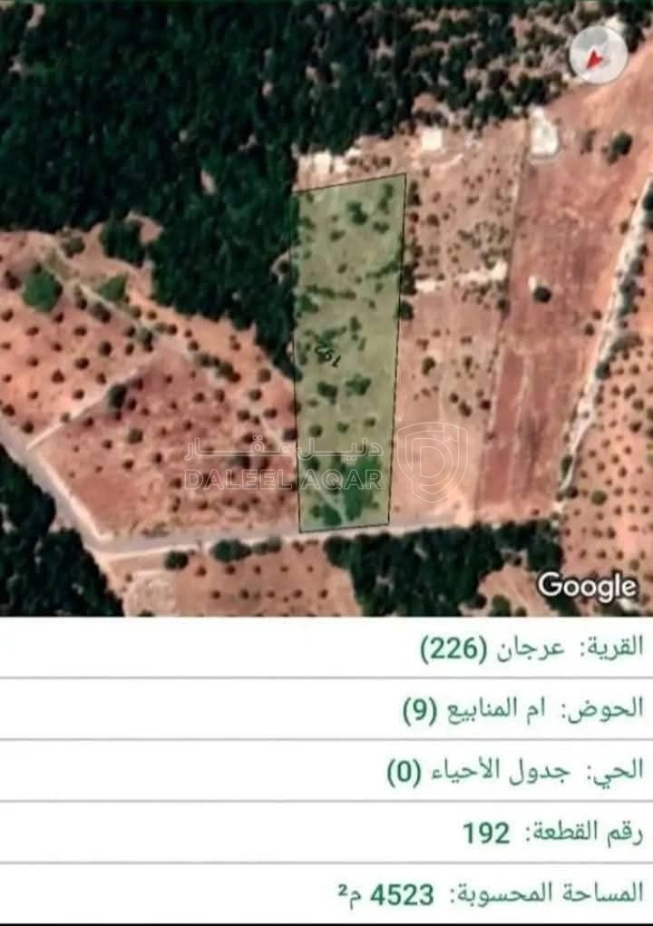 أرض في ارض استثمارية بالقرب من المحمية والتيليفريك - 136,000 دأ - صورة 1