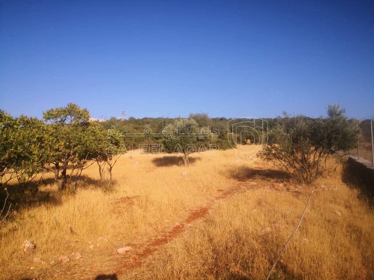 أرض في ارض استثمارية بالقرب من المحمية والتيليفريك - 136,000 دأ - صورة 1