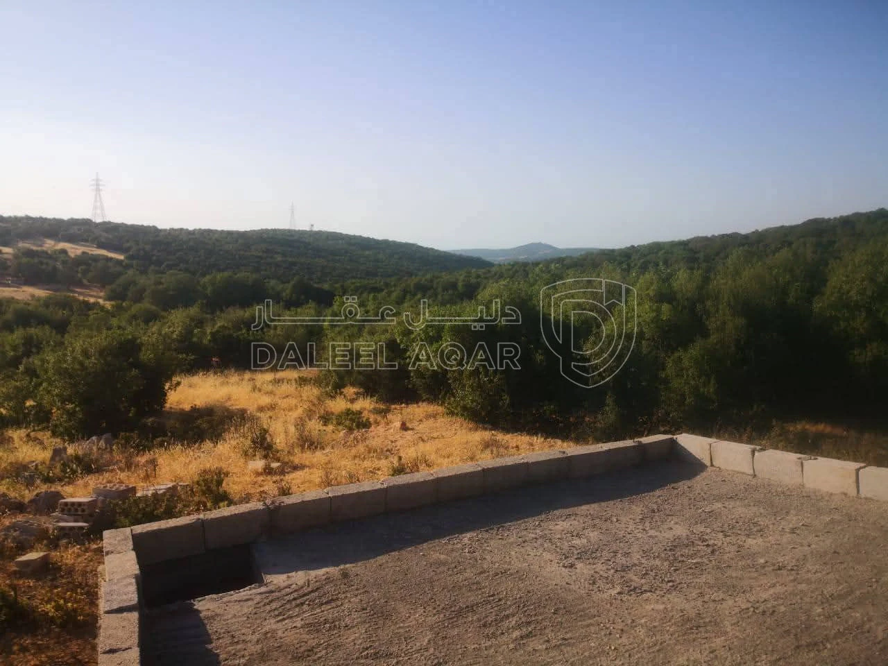 أرض في ارض استثمارية بالقرب من المحمية والتيليفريك - 136,000 دأ - صورة 1