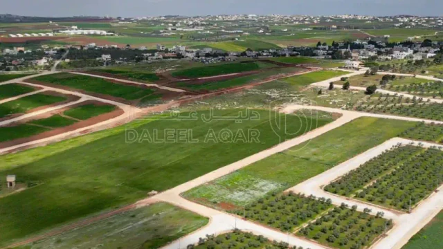 أرض - عمان - برازين السامك - 88500 دأ