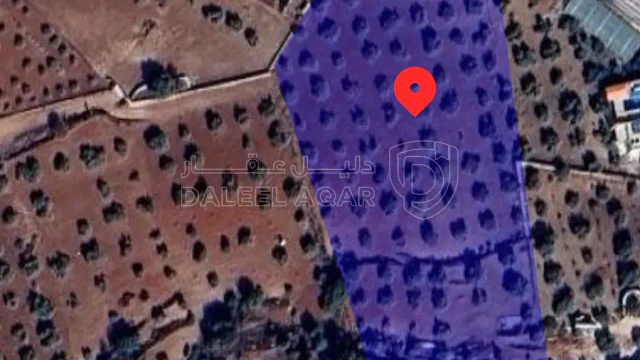 أرض في ارض للبيع  - 210,000 دأ - صورة 1