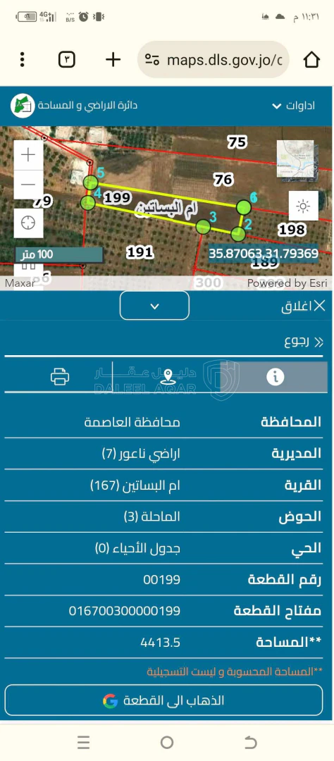 أرض في أربع دونمات ونصف ام البساتين خلف جامعه الزيتونه - 220,000 دأ - صورة 1
