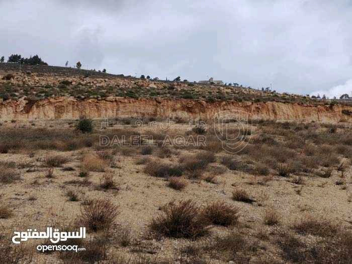 أرض في الزرقاء ام رمانه الدغليب مشترك محدد - 18,000 دأ - صورة 1