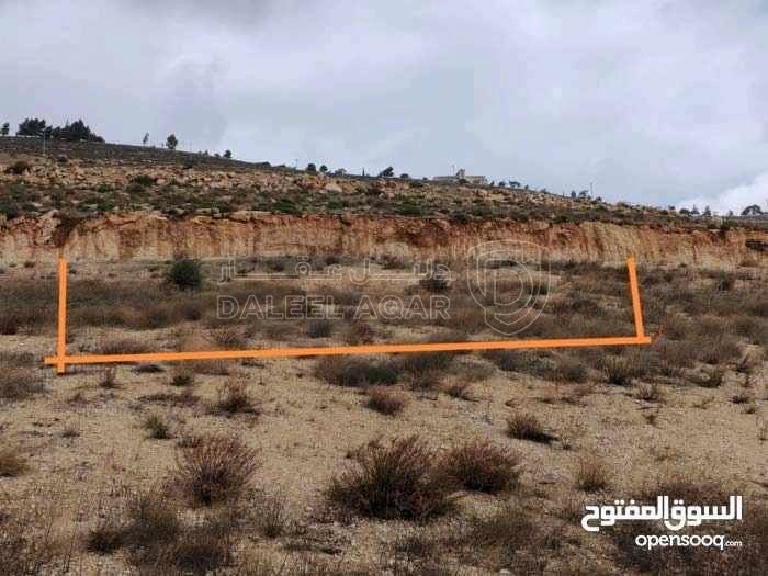 أرض في الزرقاء ام رمانه الدغليب مشترك محدد - 18,000 دأ - صورة 1