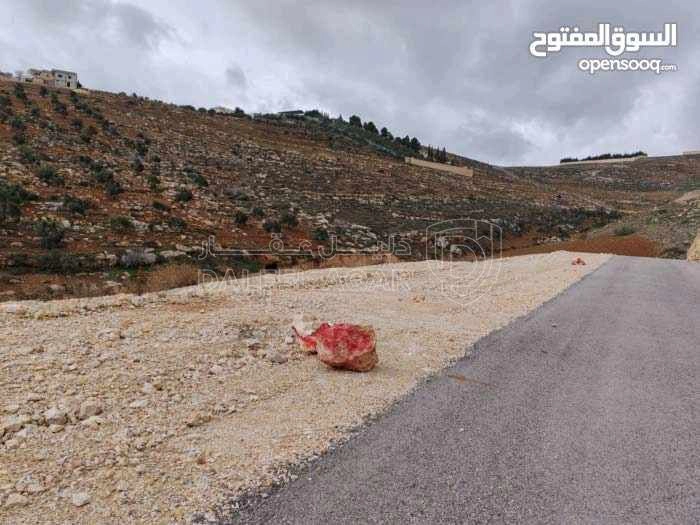 أرض في الزرقاء ام رمانه الدغليب مشترك محدد - 18,000 دأ - صورة 1