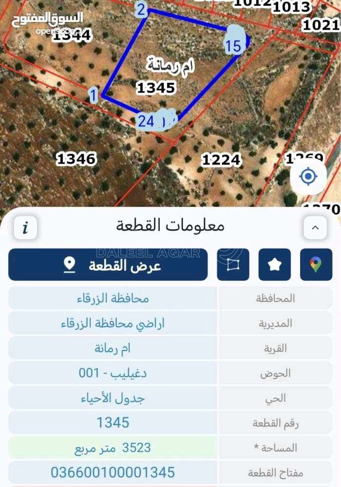 أرض في الزرقاء ام رمانه الدغليب مشترك محدد - 18,000 دأ - صورة 1