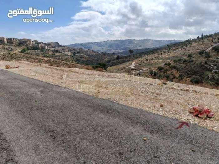 أرض في الزرقاء ام رمانه الدغليب مشترك محدد - 18,000 دأ - صورة 1