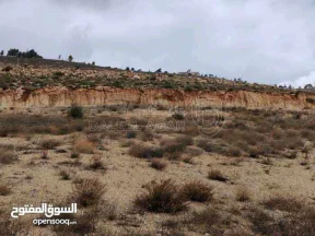 أرض في الزرقاء ام رمانه الدغليب مشترك محدد - 22,900 دأ - صورة NaN