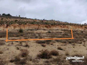 أرض في الزرقاء ام رمانه الدغليب مشترك محدد - 22,900 دأ - صورة NaN