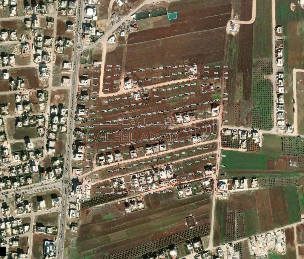 أرض في اربد / بشرى / الرجوم السود الشمالي  - 62,000 دأ - صورة 1