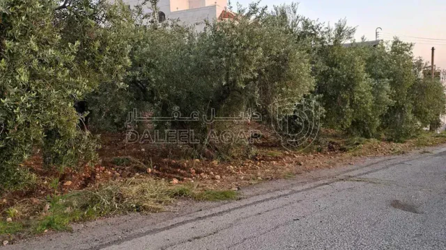 أرض - عمان الغربيه _خلف المدينه الطبيه  - 250000 دأ