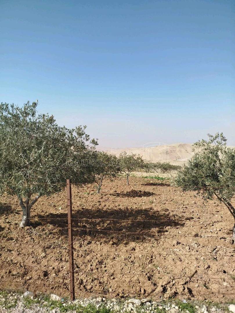 أرض في مادبا ماعين - 75,000 دأ - صورة 1