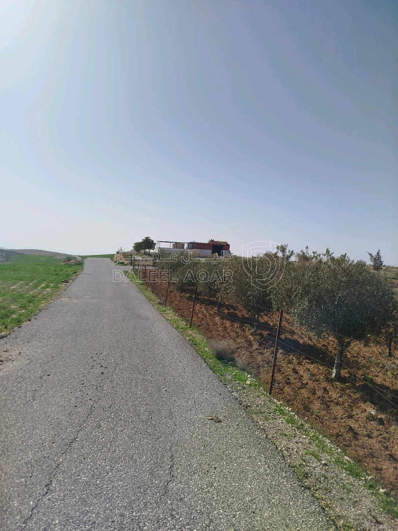 أرض في مادبا ماعين - 75,000 دأ - صورة 1