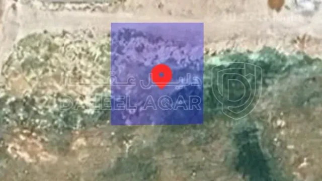 أرض - ارض للبيع شمال عمان - 80000 دأ