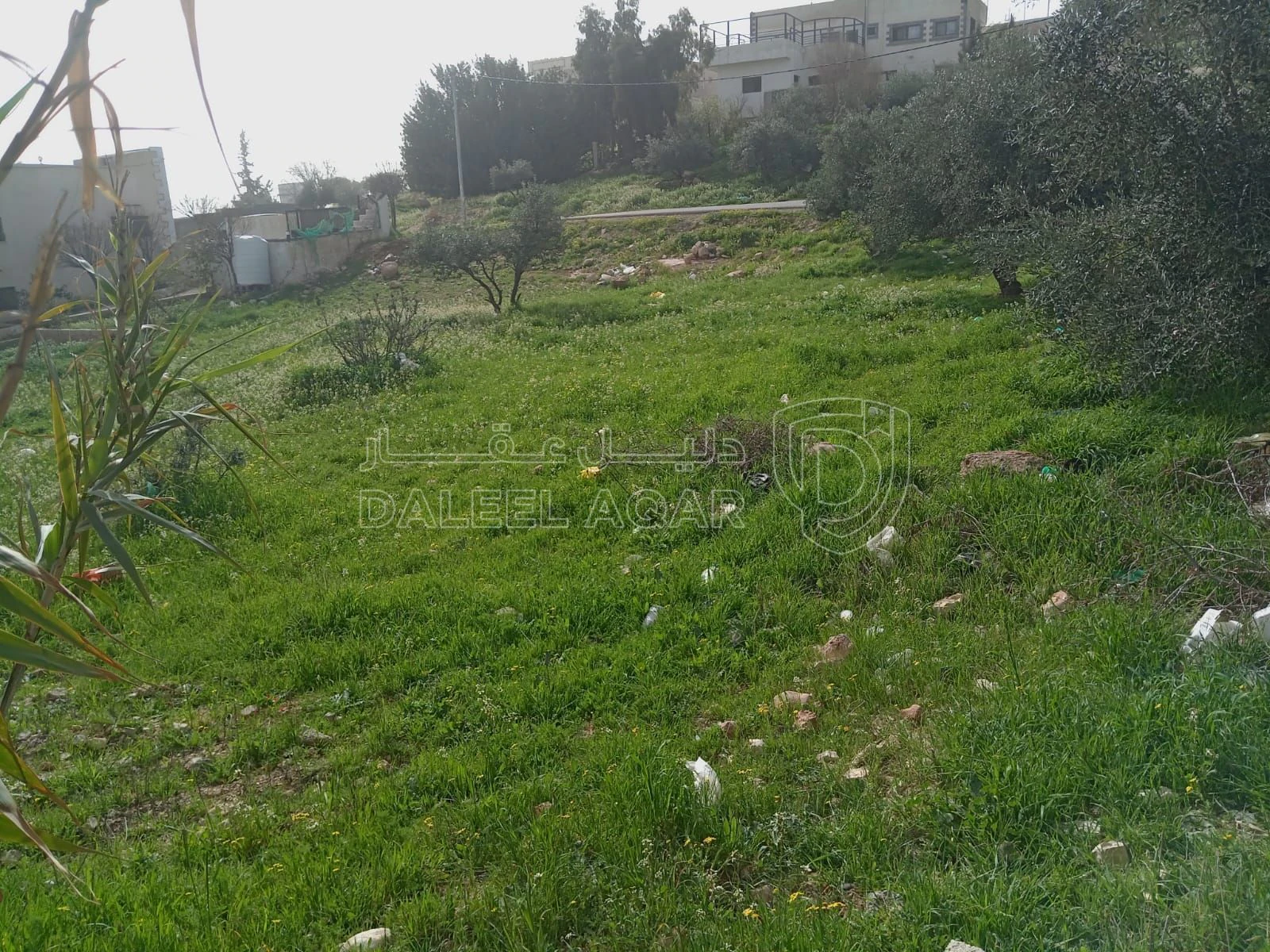 أرض في بلعما بقرب مدرسة الثانوية للبنات  - 9,000 دأ - صورة 2