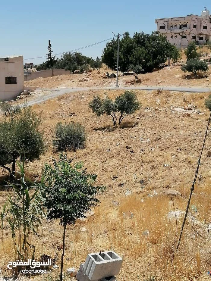 أرض في بلعما بقرب مدرسة الثانوية للبنات  - 9,000 دأ - صورة 6