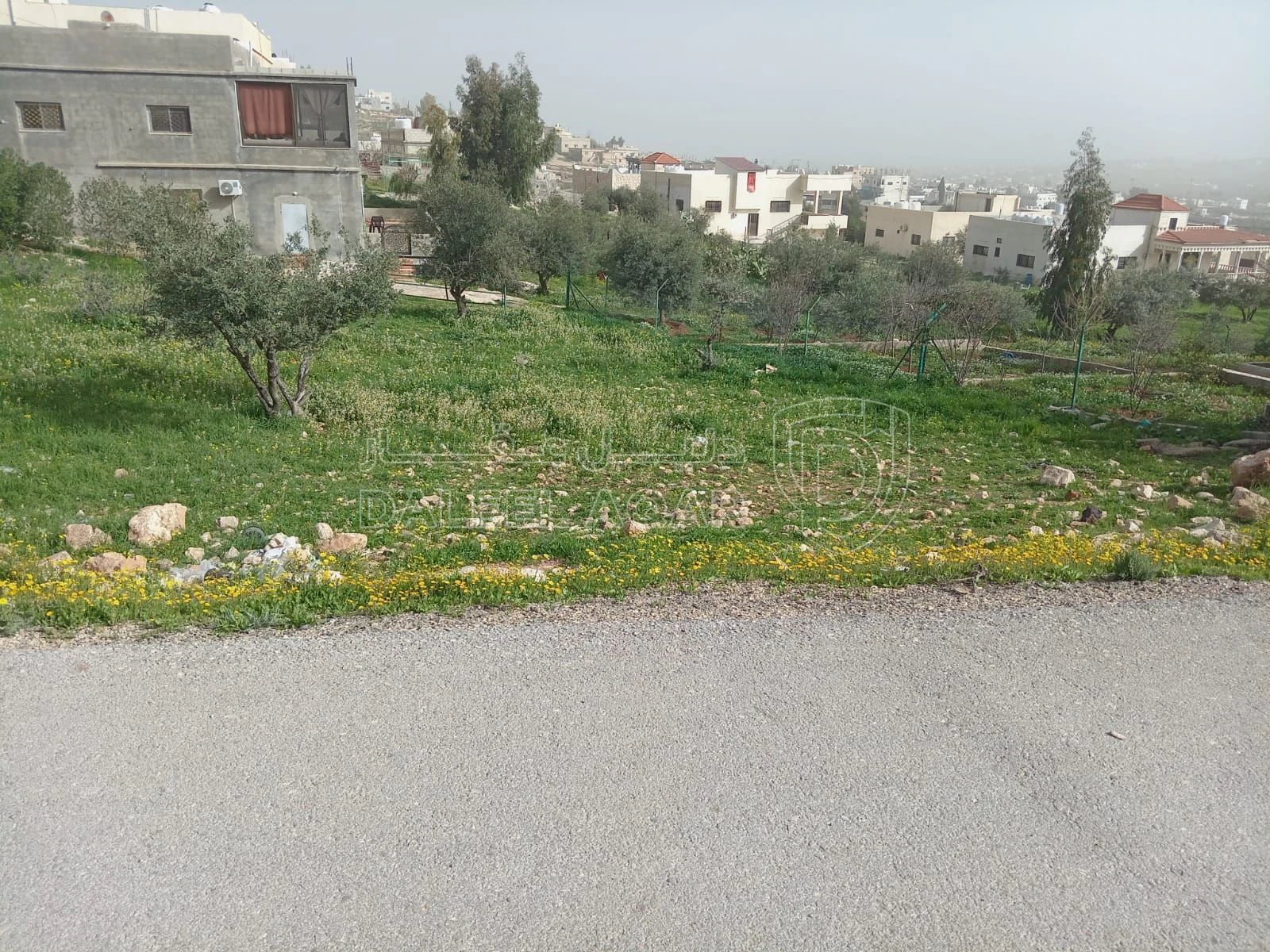 أرض في بلعما بقرب مدرسة الثانوية للبنات  - 9,000 دأ - صورة 3