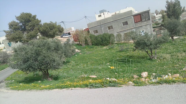 أرض في بلعما بقرب مدرسة الثانوية للبنات  - 9,000 دأ - صورة NaN