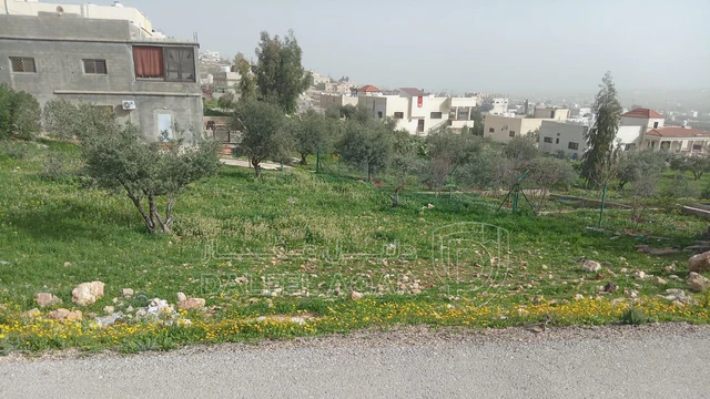 أرض في بلعما بقرب مدرسة الثانوية للبنات  - 9,000 دأ - صورة NaN