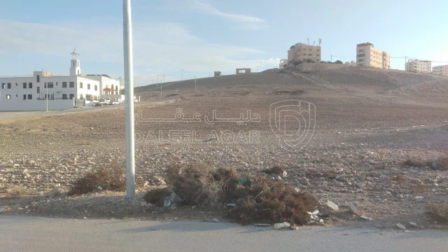 أرض - ارض في الزرقاء البتراوي الجنوبي للبيع  - 90000 دأ