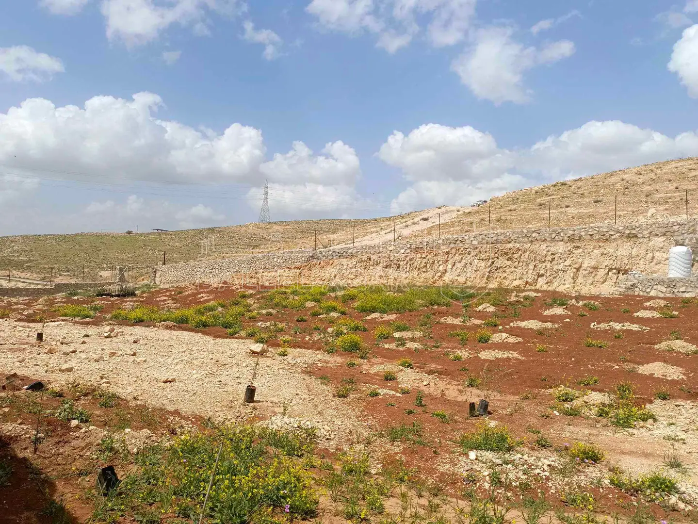 أرض في قضاء بلعما حمنانه - 22,000 دأ - صورة 1