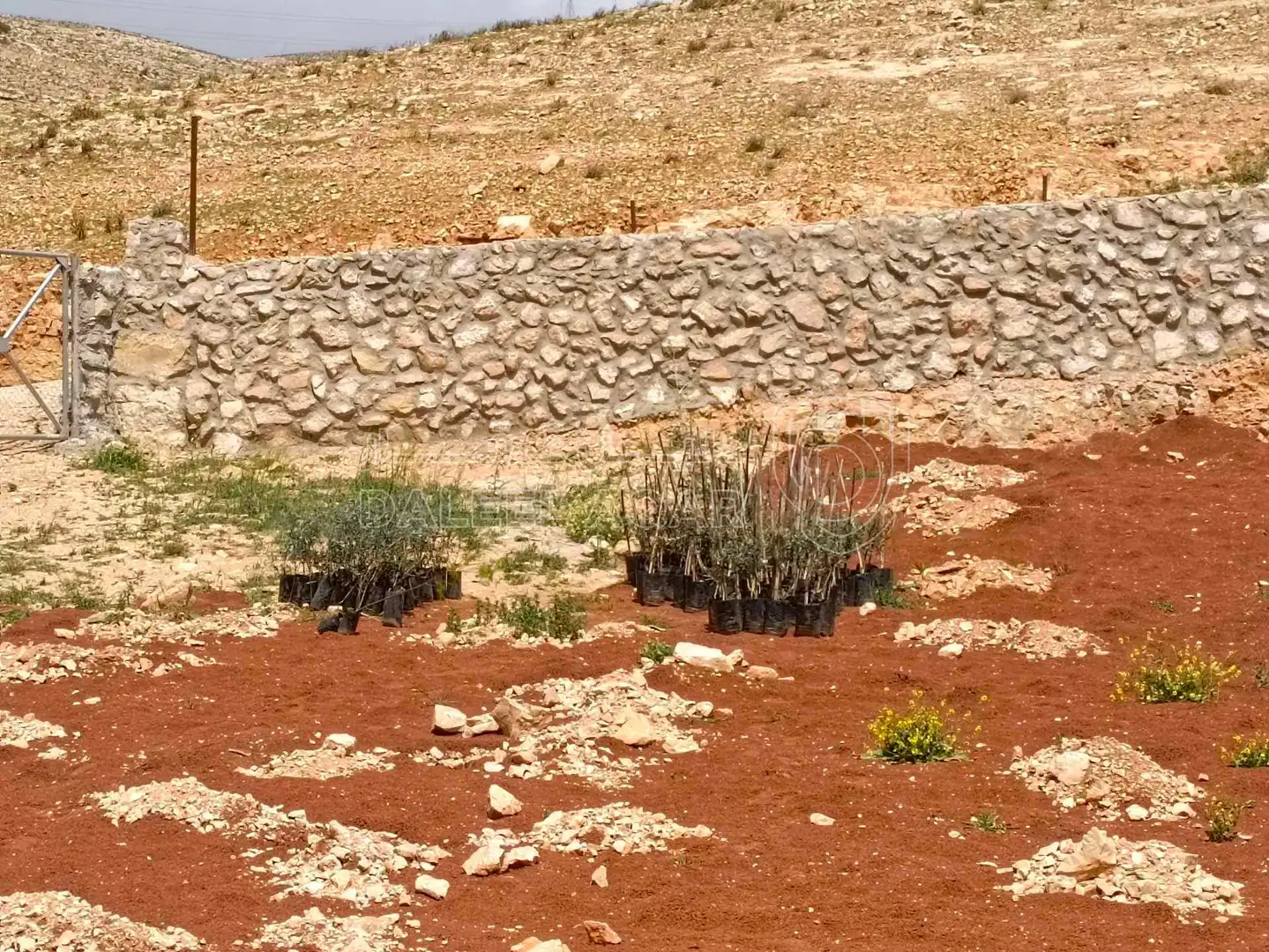 أرض في قضاء بلعما حمنانه - 22,000 دأ - صورة 1