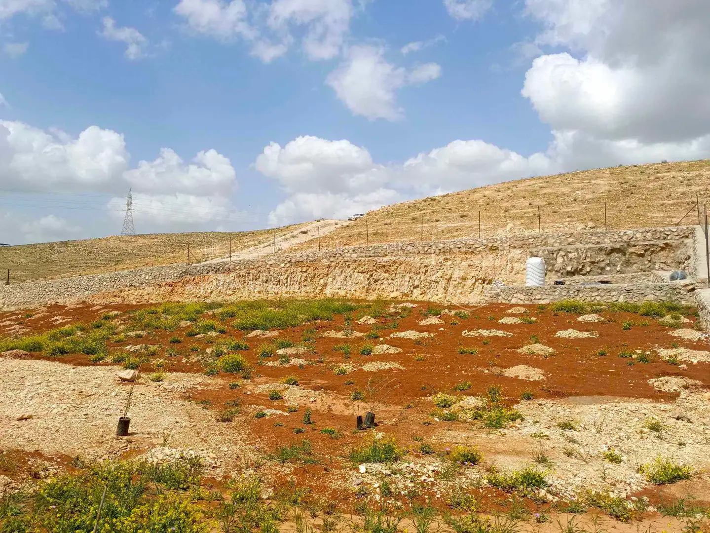 أرض في قضاء بلعما حمنانه - 22,000 دأ - صورة 1