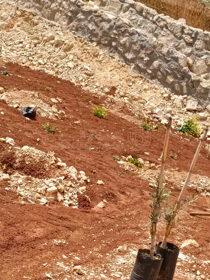 أرض في قضاء بلعما حمنانه - 22,000 دأ - صورة 1