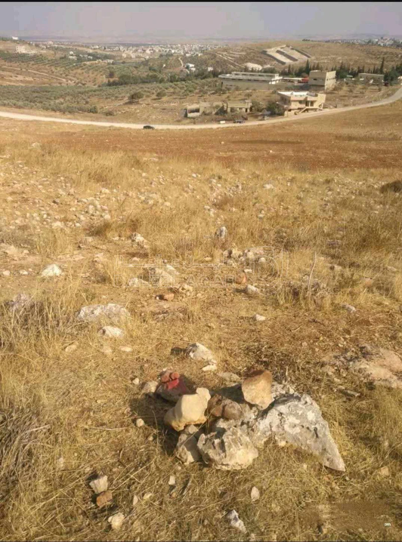 أرض في اربد قريه شطنا - 53,380 دأ - صورة 1